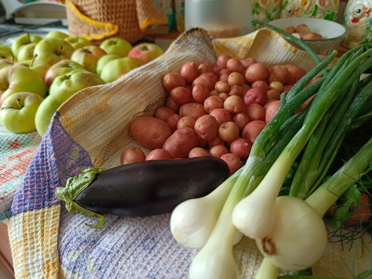 Самарцам рассказали, где выгоднее всего купить продукты | СОВА - главные  новости Самары