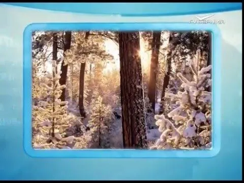 Календарь губернии 30.12.2015