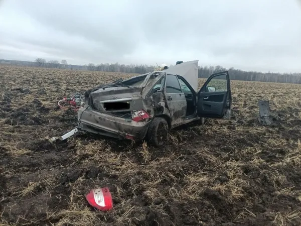 В Самарской области на трассе "Приора" вылетела в кювет и перевернулась