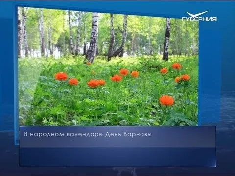 День Варнавы. Календарь губернии от 24 июня