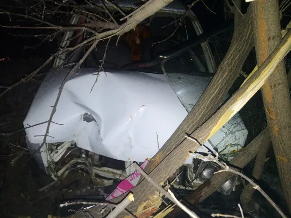 Под Самарой пьяная женщина на ВАЗе врезалась в дерево