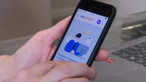 В МВД сообщили о двух основных схемах мошенников для доступа к Госуслугам