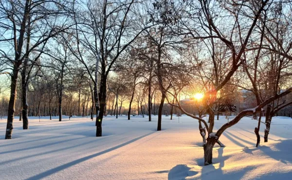 В Самарской области 23 января будет морозно и солнечно