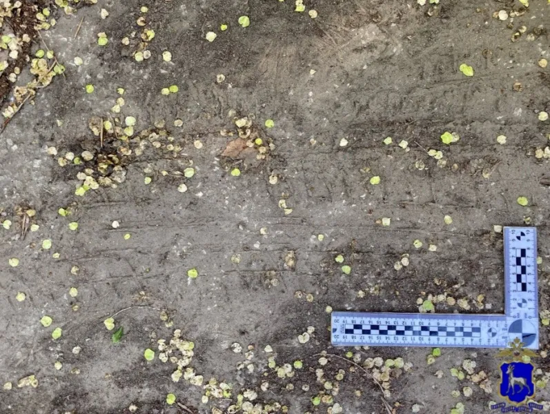 В Тольятти 14-летний подросток угнал автомобиль