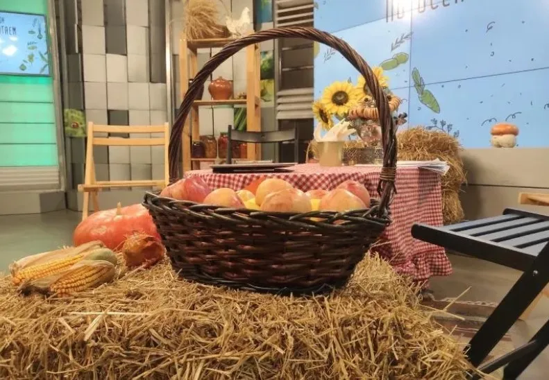 26 октября "Самара 450" проведет телевизионный агромарафон "По осени считаем"