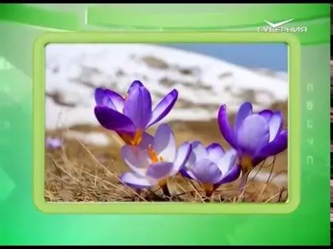 Календарь губернии 06.04.2016