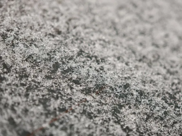 Народные приметы на 8 декабря 2025 года: что нельзя делать в этот день