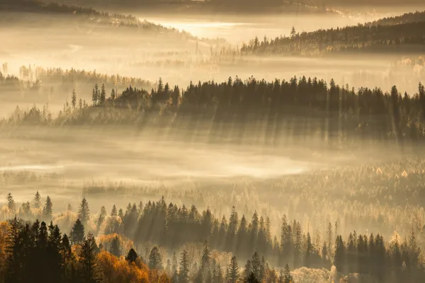 Погода на 27 августа 2025 года: народные приметы и прогноз синоптиков