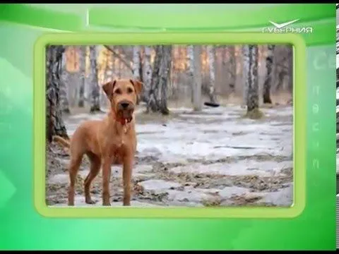 Календарь губернии 11.03.2016