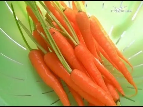 Мелочи, которых нам не хватает. Утро Губернии