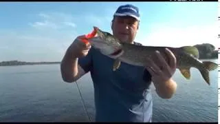 Ловим судака и щуку. Рыбацкое счастье от 10.07.2018