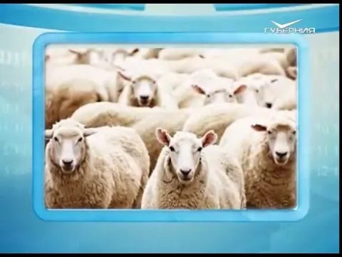 Календарь губернии 28.02.2016