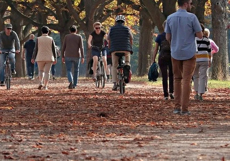 В Ставропольском районе реконструируют сельский парк 