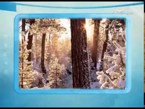 Календарь губернии 30.12.2016