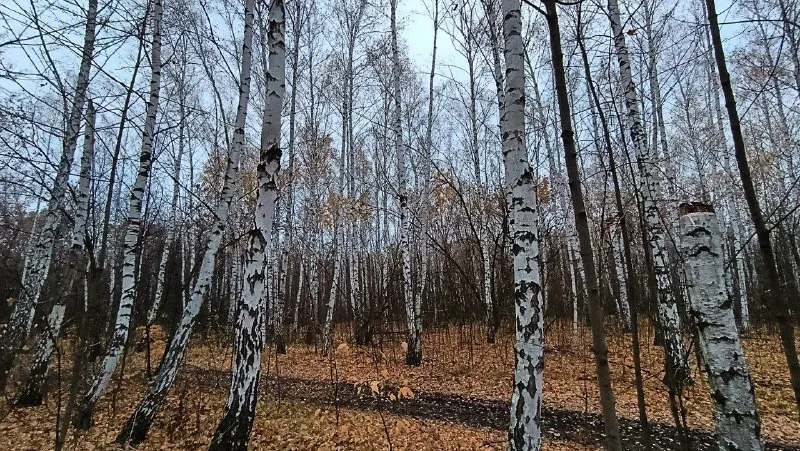 Народные приметы на 30 октября 2025 года: что нельзя делать в этот день