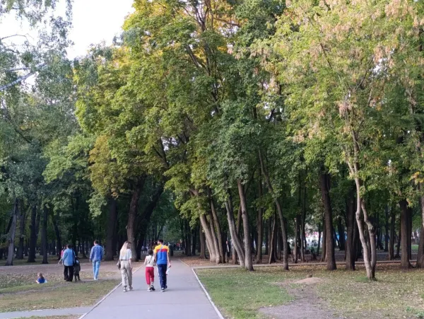 Многодетные семьи смогут принять участие в тематическом забеге в Самаре