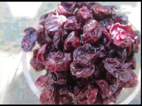 Актуальные советы от старших. Утро Губернии от 05.09.2018