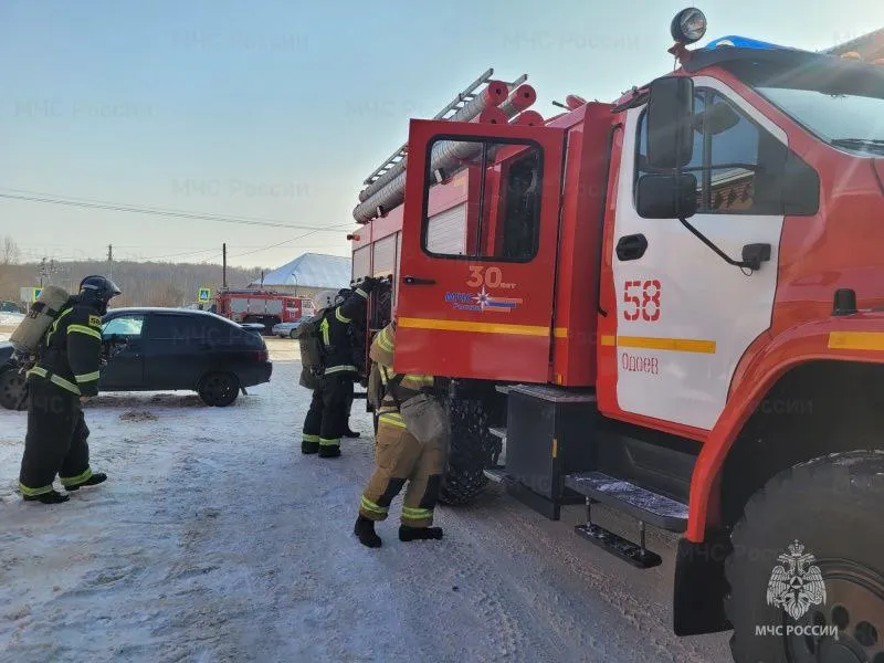 Воронка в лесополосе: в Тульской области расследуют возможный взрыв беспилотника