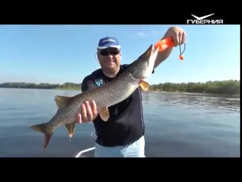 Ловим леща на фидер. Рыбацкое счастье от 17.07.2018