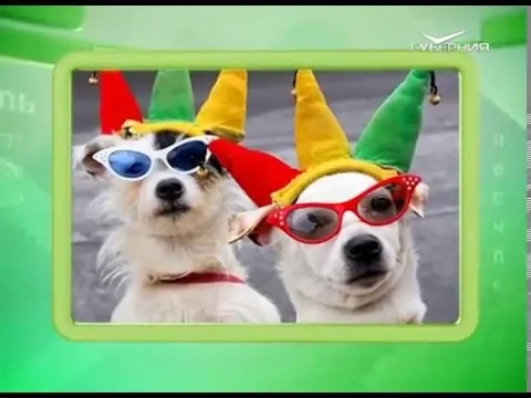 Календарь губернии 01.04.2016