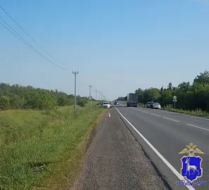 На трассе под Самарой водитель насмерть сбил пешехода и уехал с места ДТП