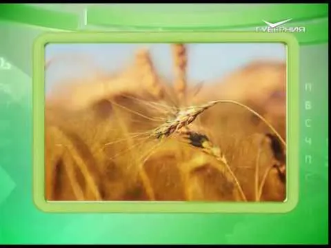 Календарь губернии 10.06.2017