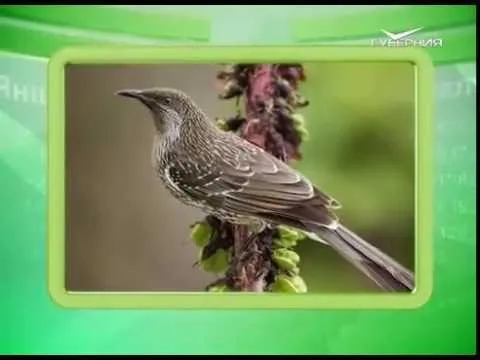 Календарь губернии 11.07.2016