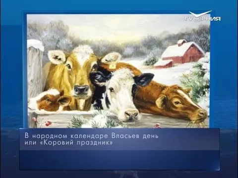 Коровий праздник. Календарь губернии от 24 февраля