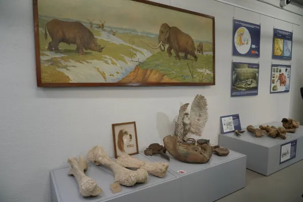 Послания из палеолита: в Самаре представили артефакты каменного века