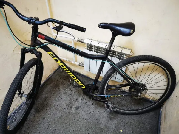 В Самаре будут судить слесаря, укравшего велосипед у курьера 