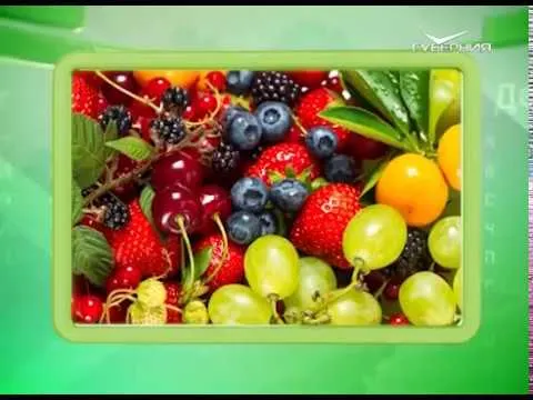 Календарь губернии 20.04.2017