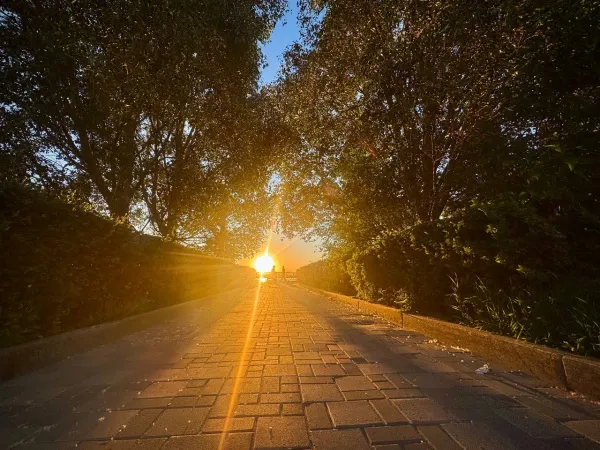Жарче и суше: стало известно, какая погода ждет жителей Самарской области в июне