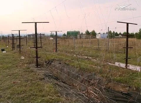 Готовим виноградник к зимовке. Удачные заметки