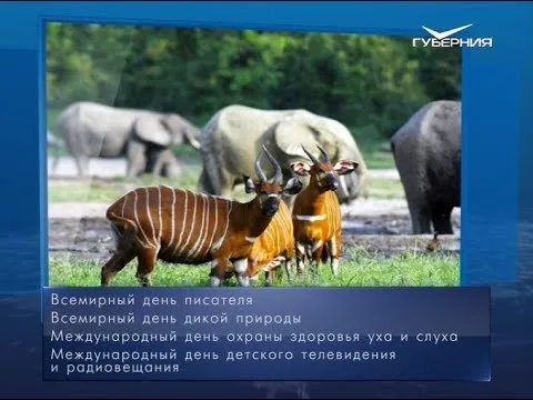 Всемирный день дикой природы. Календарь губернии от 3 марта