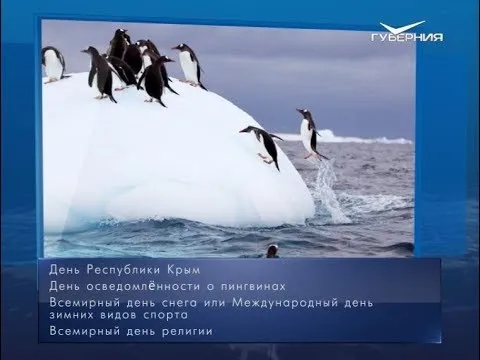 День осведомлённости о пингвинах. Календарь губернии от 20 января