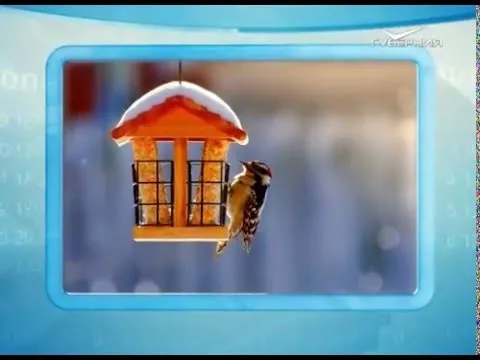 Календарь губернии 20.01.2016