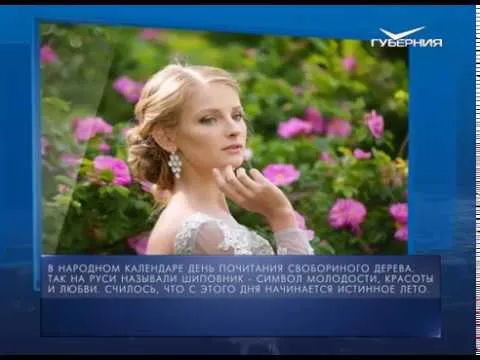 Календарь губернии от 06.06.2018