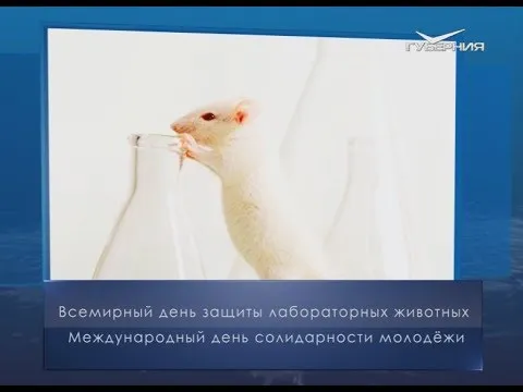 День защиты лабораторных животных. Календарь губернии от 24 апреля