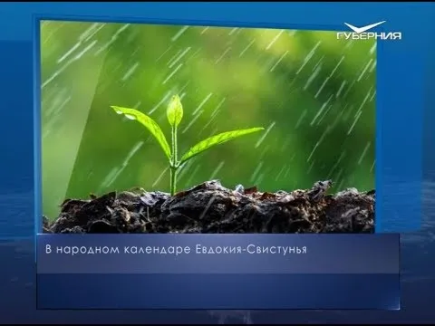 Евдокия-Свистунья. Календарь губернии от 30 мая