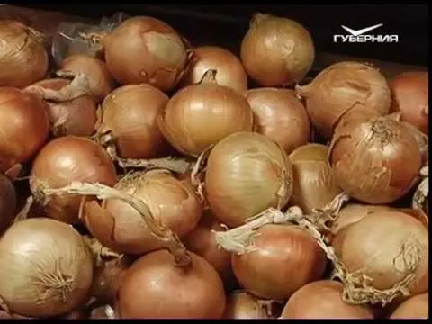 Новости Губернии от 16.05.2018