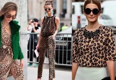 Как сосчитать полоски на тигриной шкуре и не заснуть. Утро Губернии