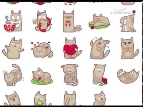 Международный день кошки. Утро Губернии от 01.03.2018