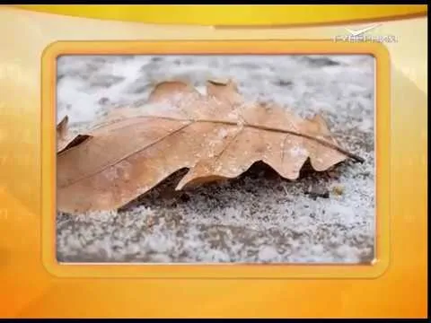 Календарь губернии 05.11.2016