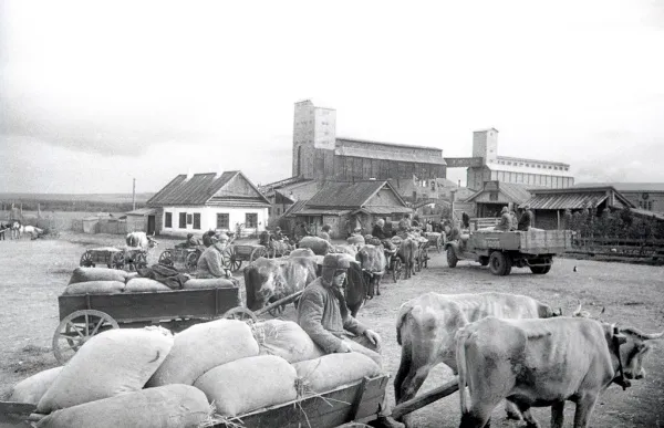 История предмета нашей Победы. Как пищевые производства Куйбышева кормили фронт и тыл