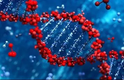 Генетика и вкус к моде. Утро Губернии