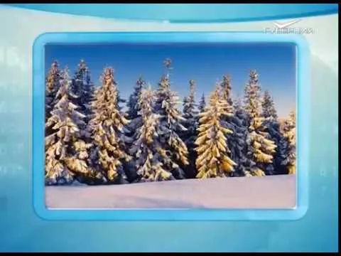 Календарь губернии 12.12.2016