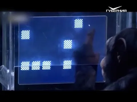 Теория Дарвина. Утро Губернии