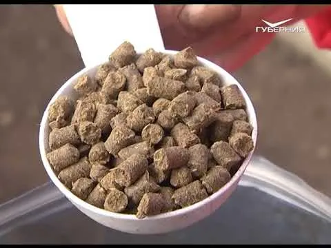 Как правильно сажать плодовые. Дачные советы