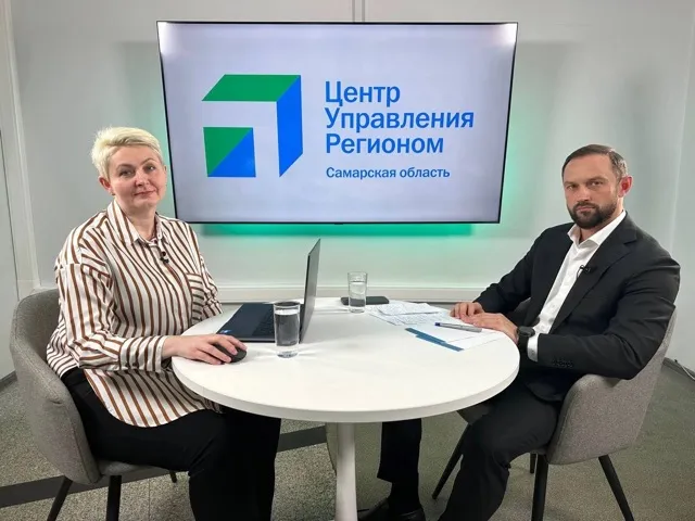 Более 2 тысяч контейнеров для раздельного сбора мусора установят в городах Самарской области в этом году 