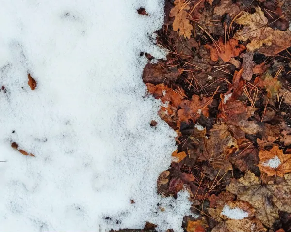 Погода на 11 декабря 2024 года: народные приметы и прогноз синоптиков